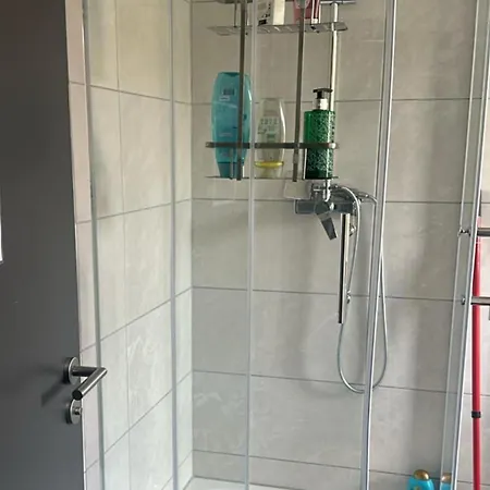 Zenger Homesharing *