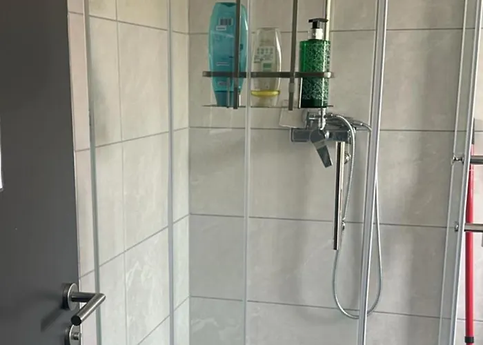 Zenger Homesharing *